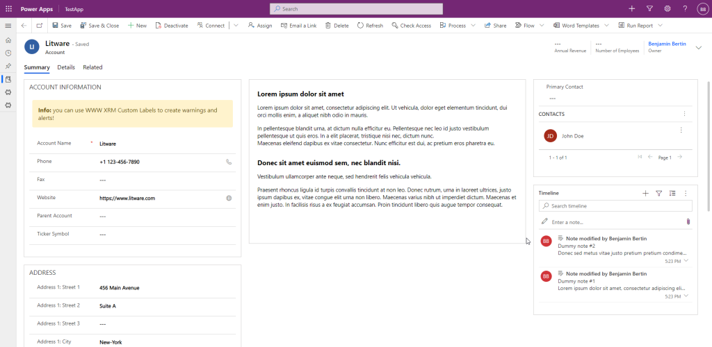 A screenshot of WWW XRM Custom Labels used in a Model-Driven App form